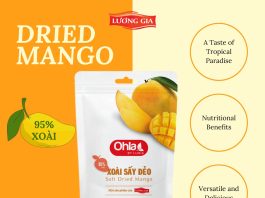 Dried Mango – Từ Món Ngon Đến Siêu Thực Phẩm: Vì Sao Bạn Nên Thử Ngay?