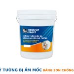 cach-xu-ly-tuong-bi-am-moc-bang-son-chong-tham