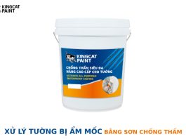 Kingcatpaint bật mí bí quyết xử lý tường bị ẩm mốc, mang lại không gian sống sạch sẽ và thẩm mỹ lâu dài